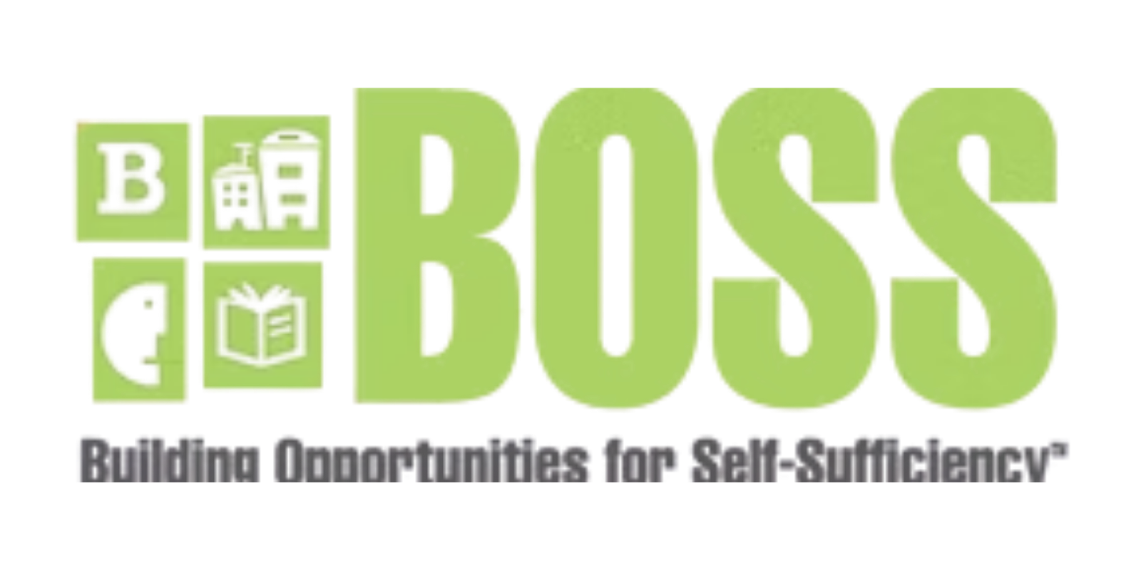 Building Opportunities for Self-Sufficiency (BOSS)